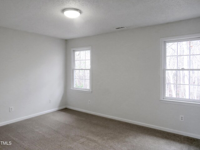 130 Luxon Pl, Cary, NC 27513 - spare room with visible vents, carpet, baseboards, and a textured ceiling