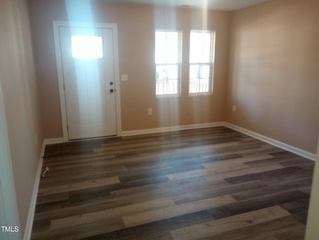 entryway with dark wood-type flooring