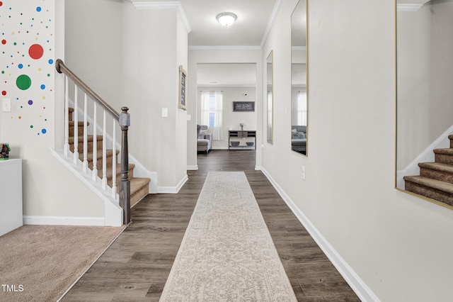 entryway with ornamental molding and dark hardwood / wood-style floors