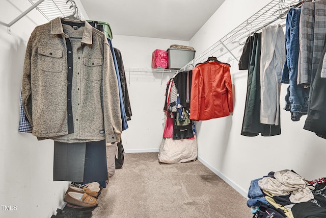 walk in closet featuring carpet flooring