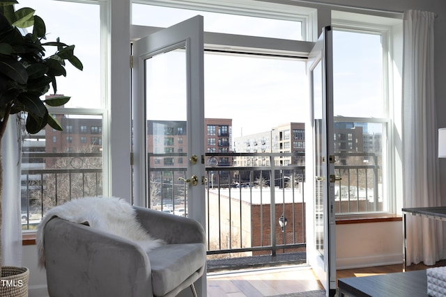 doorway to outside featuring a city view, plenty of natural light, baseboards, and wood finished floors