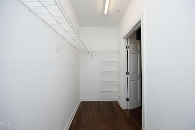 walk in closet featuring dark wood-style floors