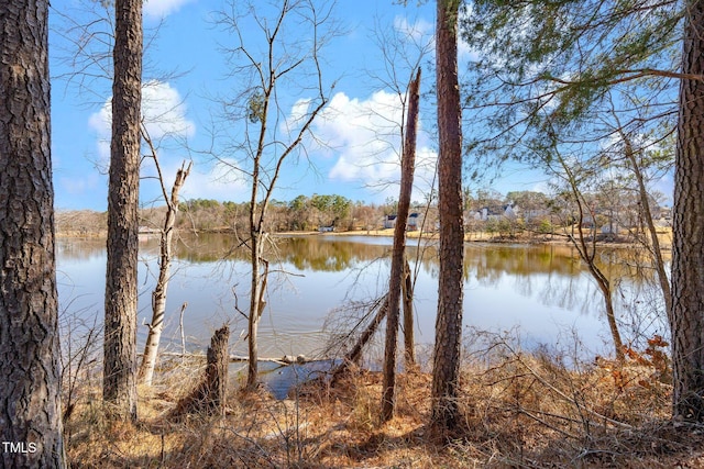 view of water feature