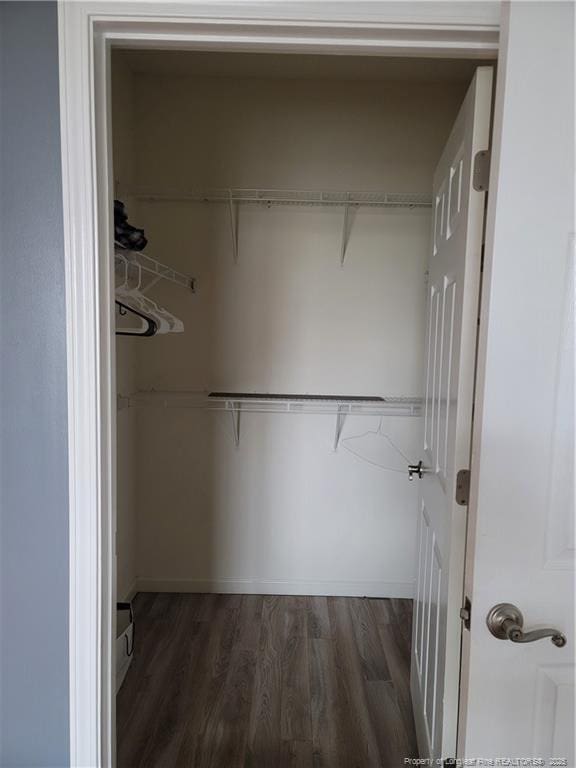 walk in closet featuring dark hardwood / wood-style floors