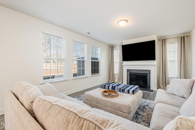 living room with hardwood / wood-style floors