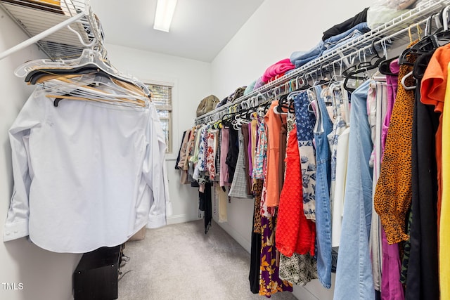 spacious closet with carpet flooring