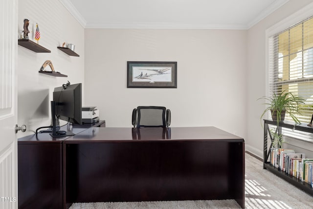 carpeted office space featuring baseboards and ornamental molding