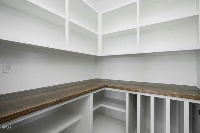 321 Bud Wall Rd, Youngsville, NC 27596 - view of pantry