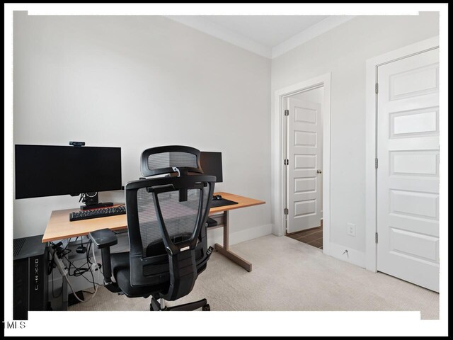 home office featuring crown molding and carpet floors