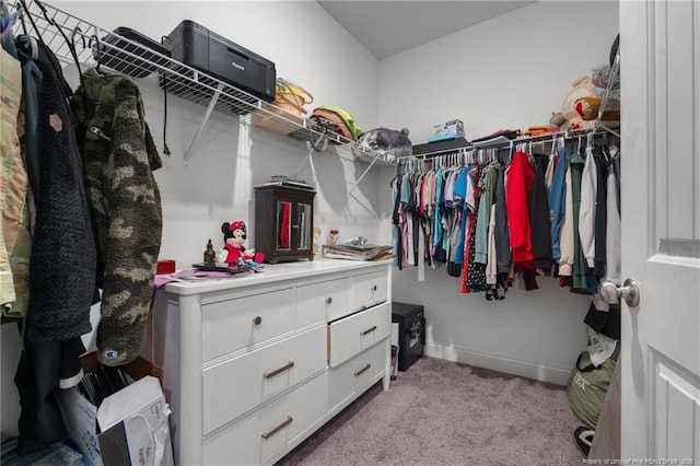 spacious closet with light colored carpet