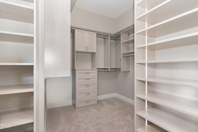 walk in closet featuring light carpet