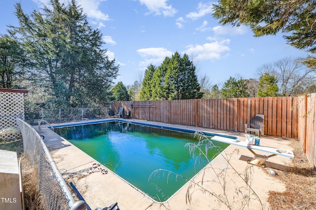 view of pool with a diving board and a patio area