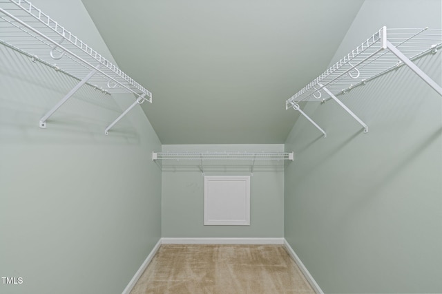 walk in closet with carpet flooring