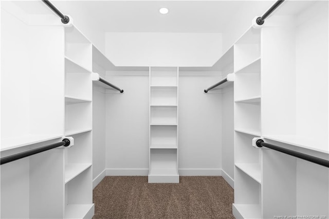 walk in closet featuring carpet flooring