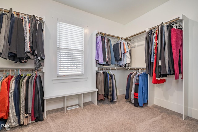 walk in closet with carpet floors