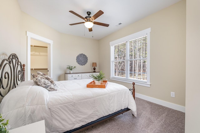 bedroom featuring ceiling fan, a walk in closet, and carpet floors