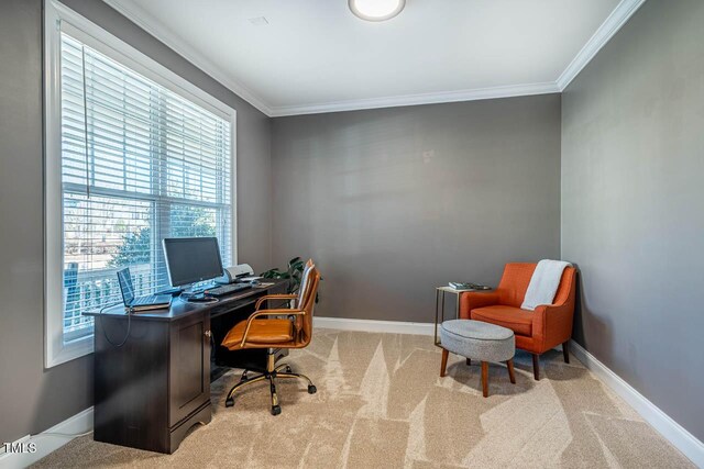 office area featuring light carpet and crown molding