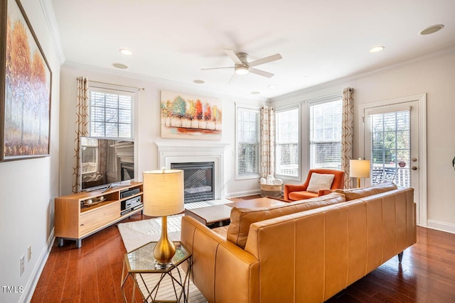 living room featuring crown molding, a healthy amount of sunlight, ceiling fan, and dark hardwood / wood-style floors