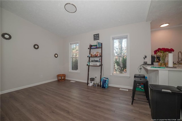 misc room with hardwood / wood-style flooring, a healthy amount of sunlight, vaulted ceiling, and a textured ceiling