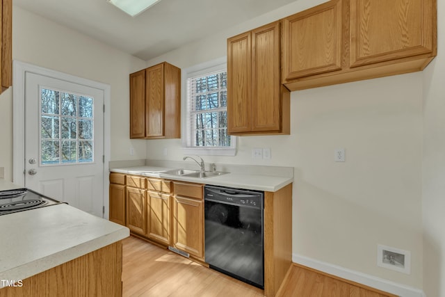 kitchen featuring dishwasher, sink, and light hardwood / wood-style flooring