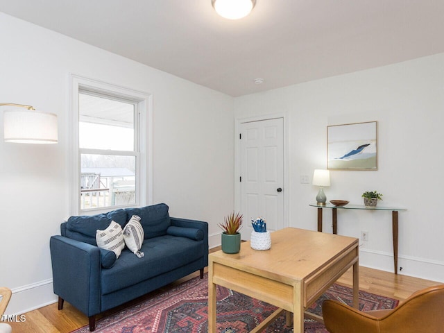 living room featuring wood-type flooring