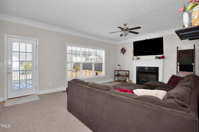 carpeted living room featuring ceiling fan, crown molding, and a healthy amount of sunlight