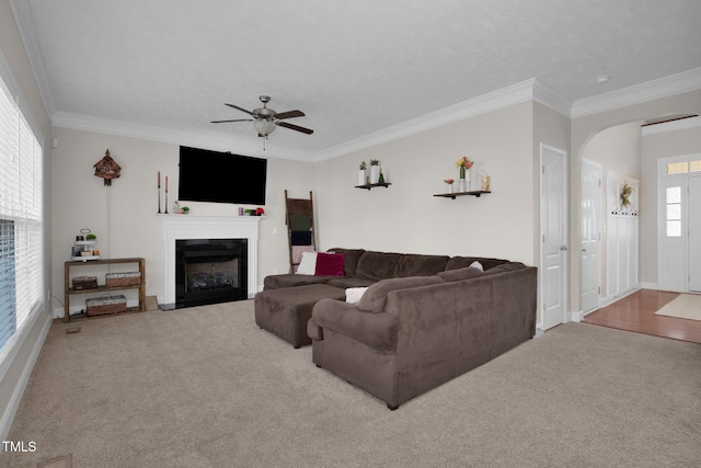 carpeted living room featuring ceiling fan, ornamental molding, and a textured ceiling