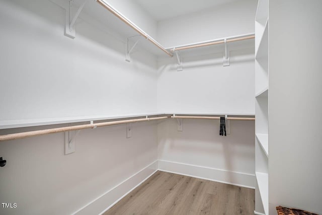 walk in closet with light wood-type flooring