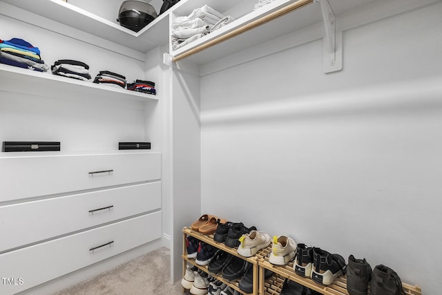 walk in closet with light colored carpet