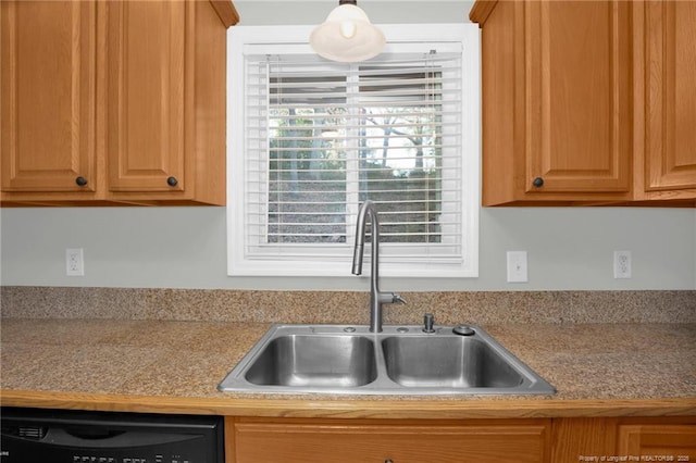 kitchen featuring dishwasher and sink