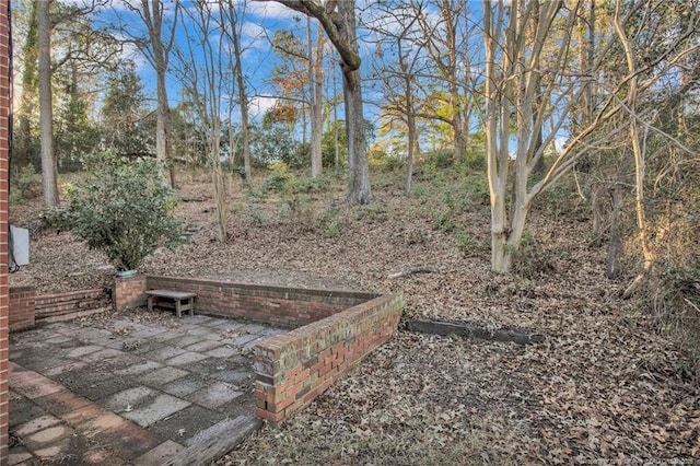 view of yard featuring a patio area