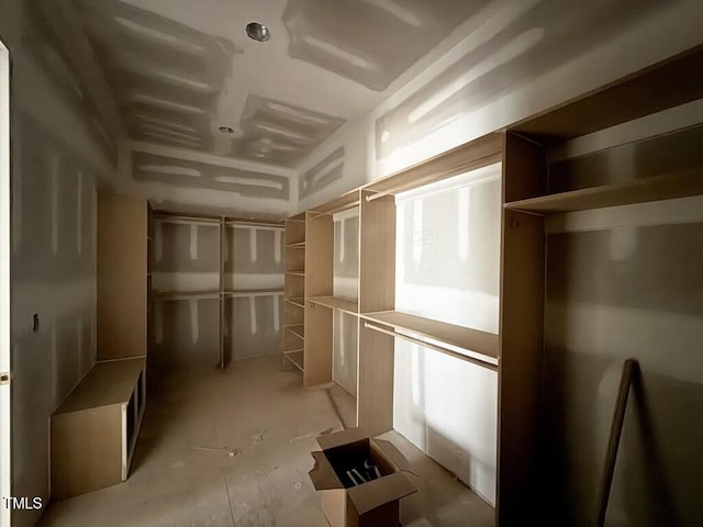 view of spacious closet