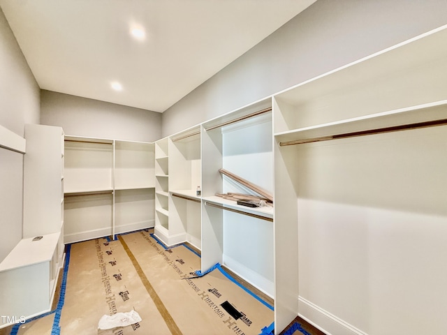 view of spacious closet