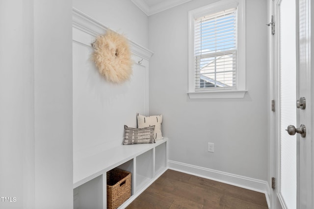 mudroom featuring dark wood-type flooring and ornamental molding