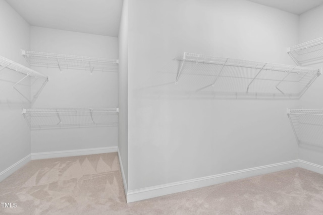 spacious closet featuring light carpet