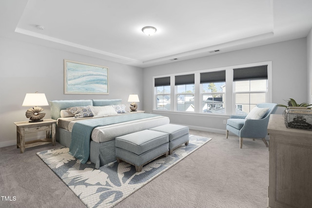 carpeted bedroom with a raised ceiling