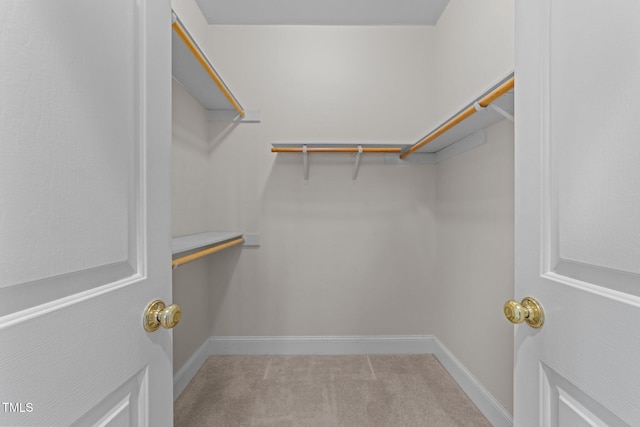 walk in closet with light carpet