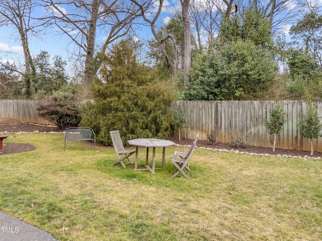 view of yard featuring a trampoline