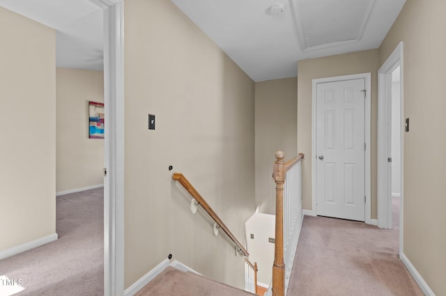 staircase with carpet floors