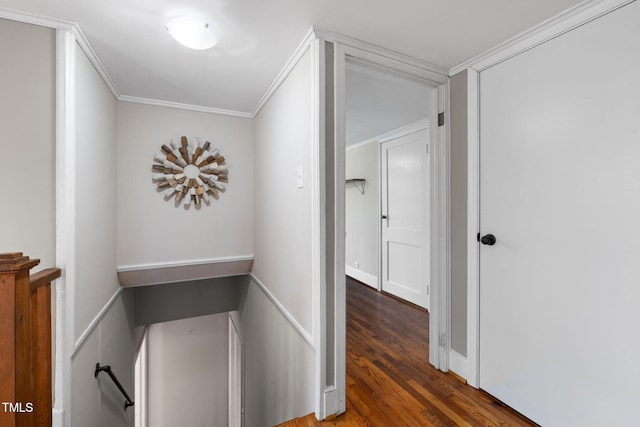 hallway featuring dark hardwood / wood-style flooring and crown molding