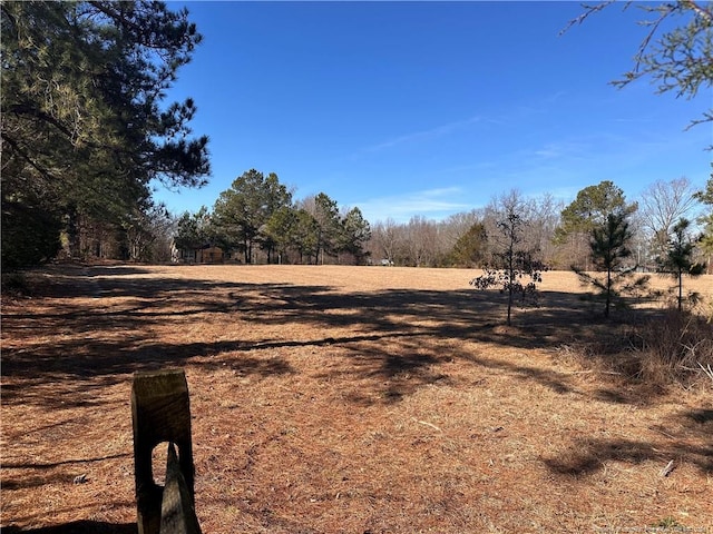 view of yard with a rural view