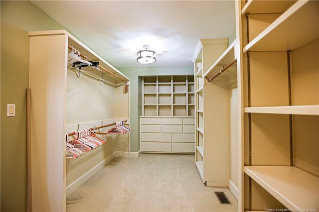 spacious closet with carpet floors