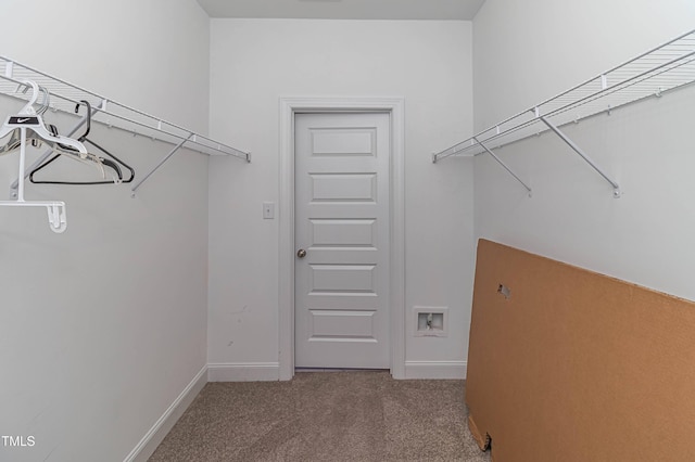 walk in closet with carpet floors