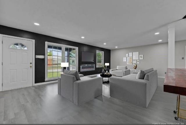 living room featuring a fireplace and light hardwood / wood-style floors