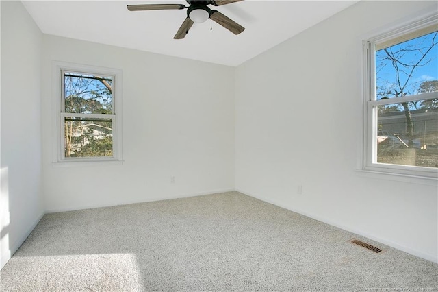 empty room with a wealth of natural light, ceiling fan, and carpet