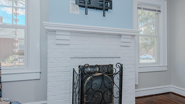 details featuring a fireplace, wood finished floors, and baseboards