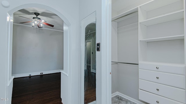 walk in closet with arched walkways, a ceiling fan, and wood finished floors