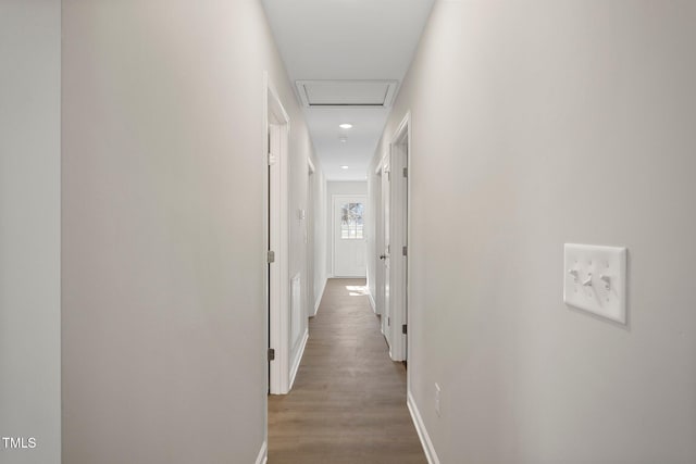 corridor with wood-type flooring