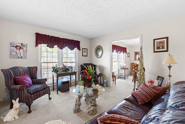 living room with carpet and a textured ceiling