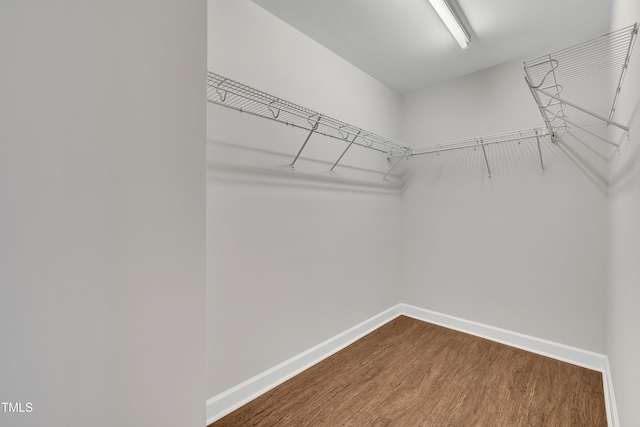 walk in closet with hardwood / wood-style flooring